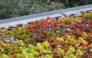 the cost of Camps Heath green roof installation