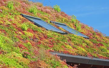 Camps Heath living roof systems