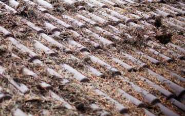 Camps Heath roof cleaning companies