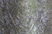 Camps Heath fibreglass roof work